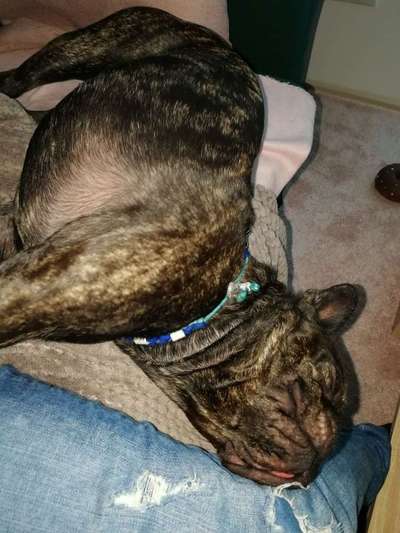 Die unbequemsten und lustigsten Schlafpositionen-Beitrag-Bild