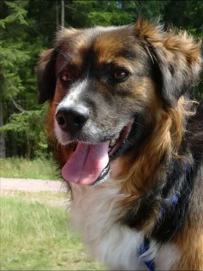 Lieblingsbild-Beitrag-Bild