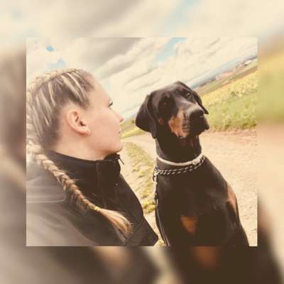 Hundetreffen-Gassi und Hundebegegnungen-Profilbild