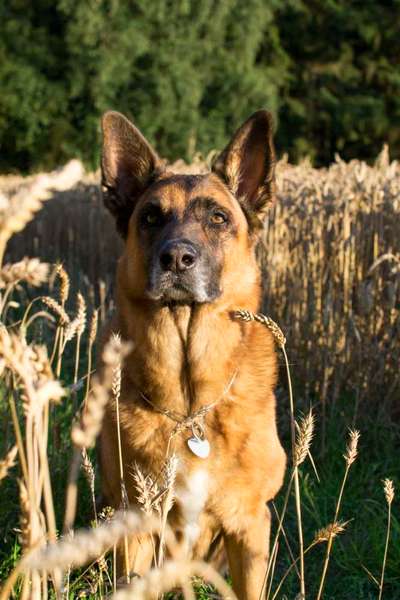 Moviestar-Pics!-Beitrag-Bild