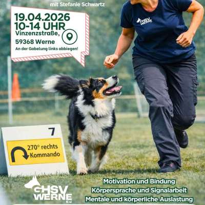 Hundetreffen-Rally Obedience Einsteiger Seminar-Bild