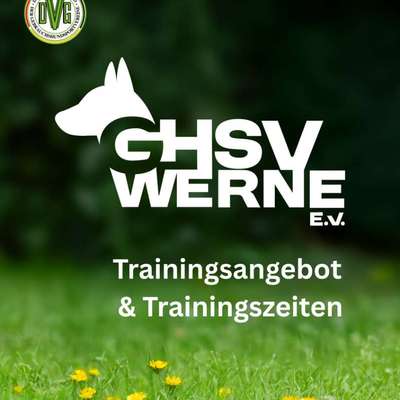 Hundetreffen-Hundesport für Jederhund in 59368 Werne!-Bild