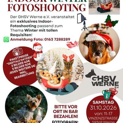 Hundetreffen-Fotoshooting Winterlandschaft-Bild