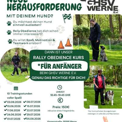Hundetreffen-Rally Obedience Anfänger Kurs-Bild