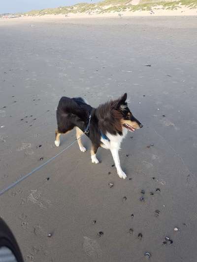 37. Collagen Challenge- Am Strand-Beitrag-Bild