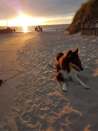 37. Collagen Challenge- Am Strand-Beitrag-Bild