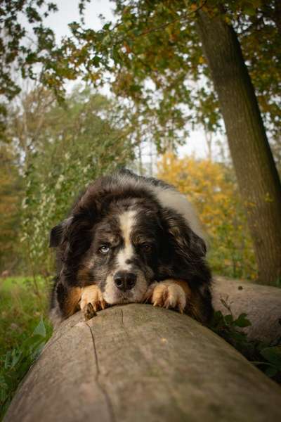 Austausch zur Fotografie-Beitrag-Bild