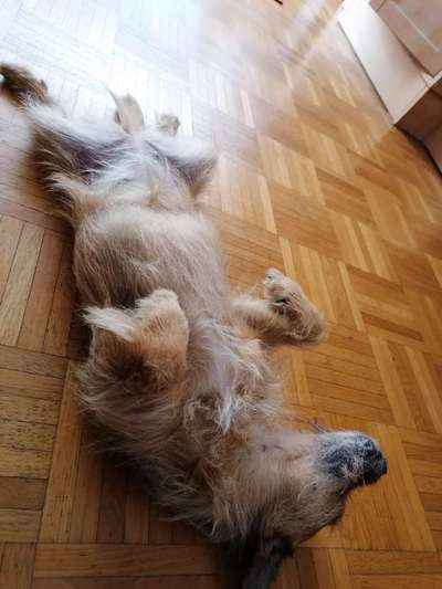 Fotochallenge Nr.65-Beitrag-Bild