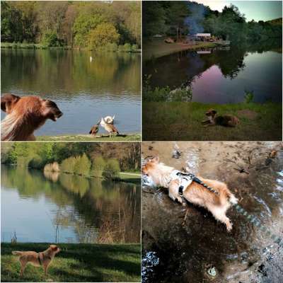 Eure schönsten Fotos mit Wasser-Beitrag-Bild