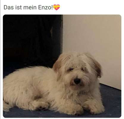 Doppelgänger gesucht !-Beitrag-Bild