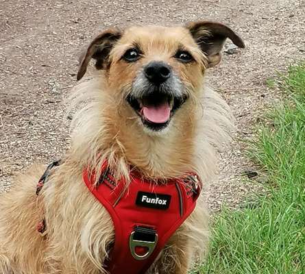 147. Foto Challenge: Bettelblick-Beitrag-Bild