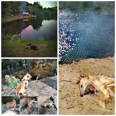 Zeigt eure schönsten Sommerbilder-Beitrag-Bild