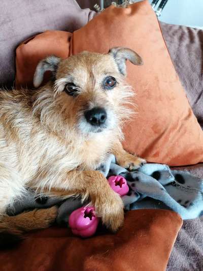 Lieblingsbild-Beitrag-Bild