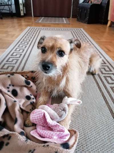 Lieblingsbild :D-Beitrag-Bild