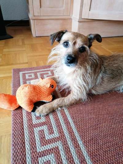 65. Handy Foto Challange                     "Ich kann nicht ohne..."-Beitrag-Bild