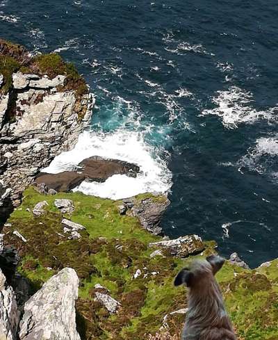 55. Handy Foto Challenge - von hinten, Blick in die Ferne-Beitrag-Bild