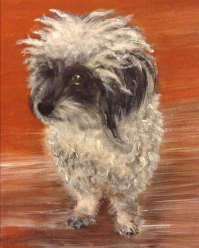 Lieblingsbild-Beitrag-Bild