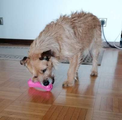 30. Farben Challenge - Pink-Beitrag-Bild