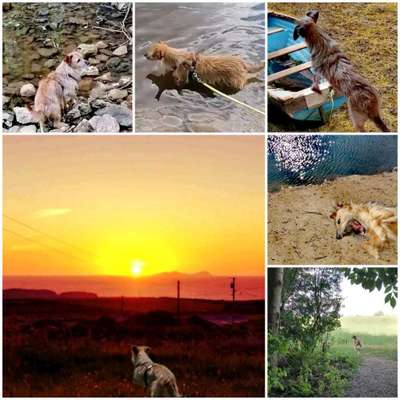 45. Collage Challenge - Lieblingsurlaubs/ Ausflugsziele-Beitrag-Bild