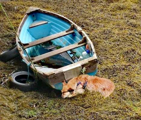 23. Farben / Fotochallenge - Türkis --Beitrag-Bild