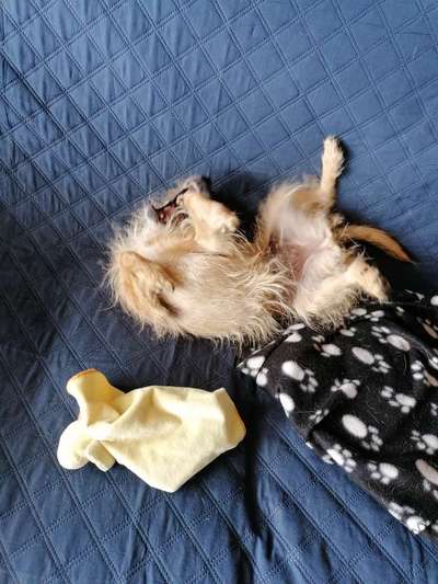 Lustige Grimassen & verrückte Posen-Beitrag-Bild