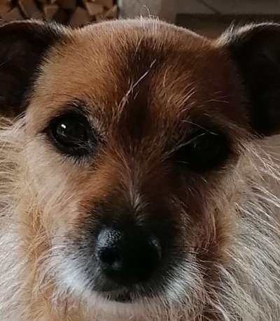 Handy-Foto Challange Nr. 10-Beitrag-Bild