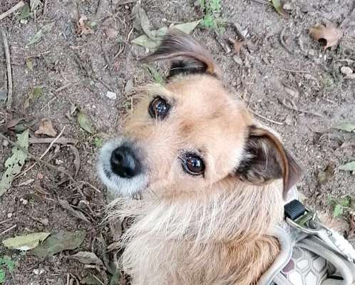 Fotochallange Nr. 57     PORTRÄT.   Beendet!!!!!!!!-Beitrag-Bild