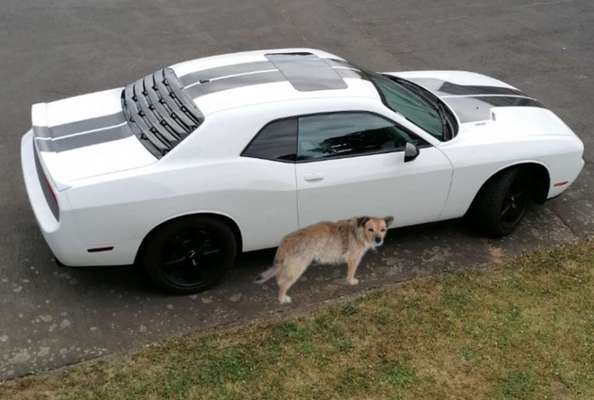 56. Handy Foto Challenge - Grosse Maschinen-Beitrag-Bild