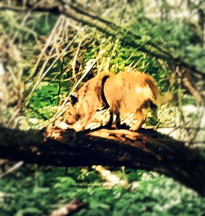 64. Handy Foto Challenge - Hoch hinaus-Beitrag-Bild