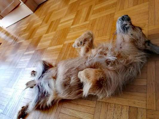 Foto Challenge Nr. 134-Beitrag-Bild