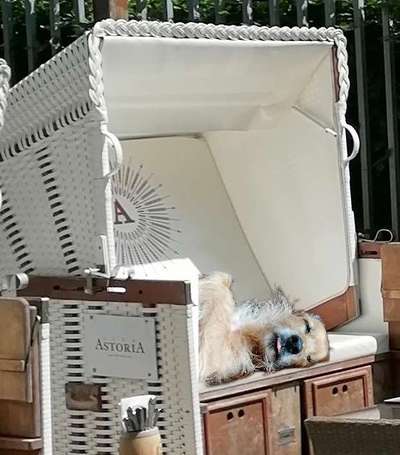 14. Farbenfoto-Challenge "Weiss"-Beitrag-Bild