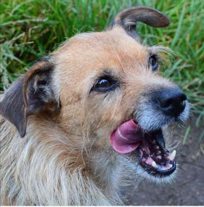 Handyfoto challenge Nr. 13: Waschlappen raus!-Beitrag-Bild