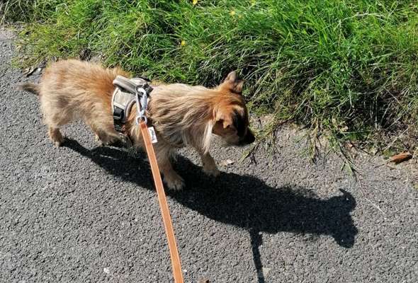 Fotochallange Nr. 46

Schattenspiele BEENDET!!!!!-Beitrag-Bild