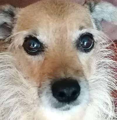 150. Foto Challaenge:  Die Augen, der Spiegel der Seele-Beitrag-Bild