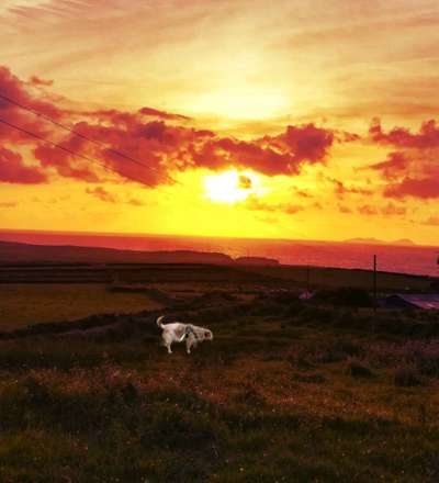 25. Farben Fotochallenge ,,Bernstein"-Beitrag-Bild