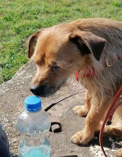 63. Handyfotochallenge   * Nase dran ! *-Beitrag-Bild