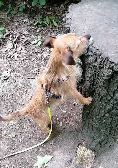 57. Handy Foto Challenge - klettern-Beitrag-Bild