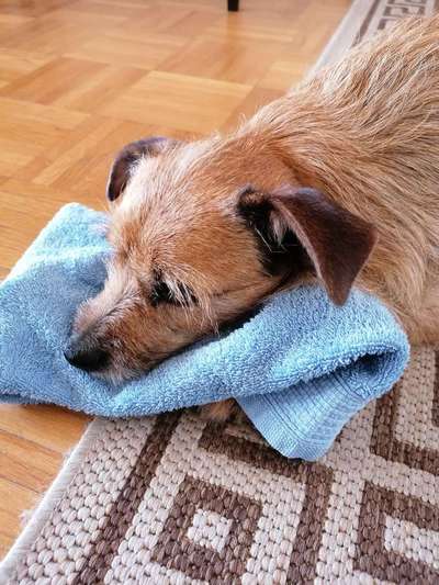 10. Farben Foto-Challenge ---- Blau-Beitrag-Bild