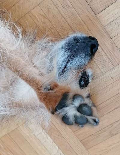 149. Foto Challenge: Wer ist hier der Boss!-Beitrag-Bild