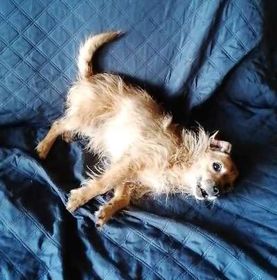 FOTO CHALLENGE Thema ,,durchdrehen"-Beitrag-Bild