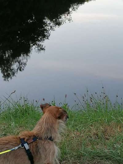 Theos Fotochallange Nummer 4-Beitrag-Bild