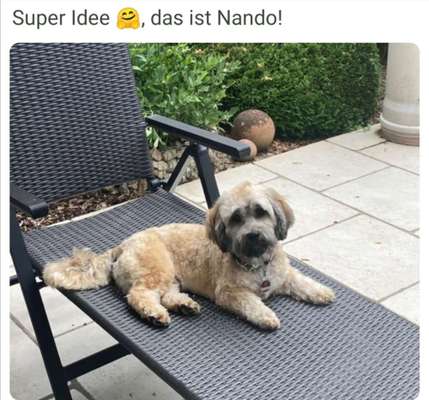 Doppelgänger gesucht !-Beitrag-Bild