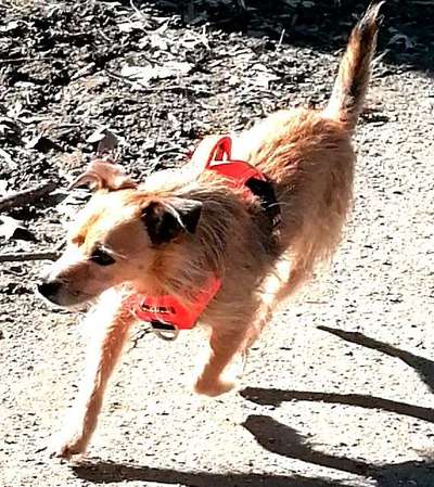 21. Farben / Foto Challenge - Neon / Leuchtfarben-Beitrag-Bild