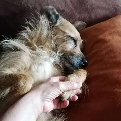 Fotochallange 84-Beitrag-Bild