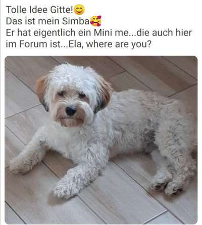 Doppelgänger gesucht !-Beitrag-Bild