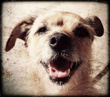 FarbenFoto - Challenge: Sepia-Beitrag-Bild