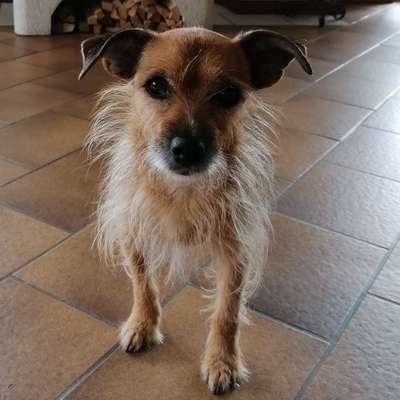 Doppelgänger gesucht !-Beitrag-Bild