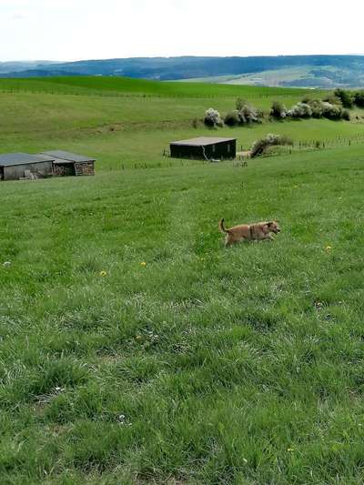 Fotowettbewerb Natur-Beitrag-Bild