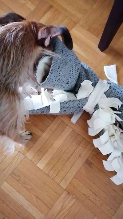 80. Foto  Challenge - Versteckt/ in einer Höhle-Beitrag-Bild