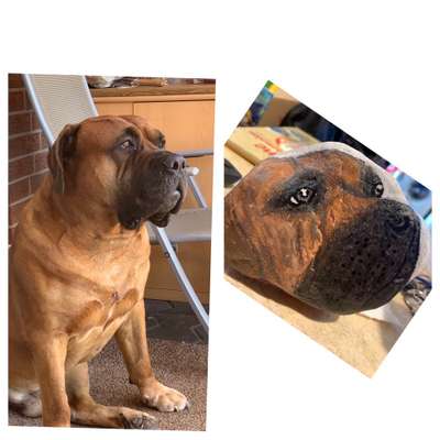 Zeichnungen Eurer Hunde !?-Beitrag-Bild